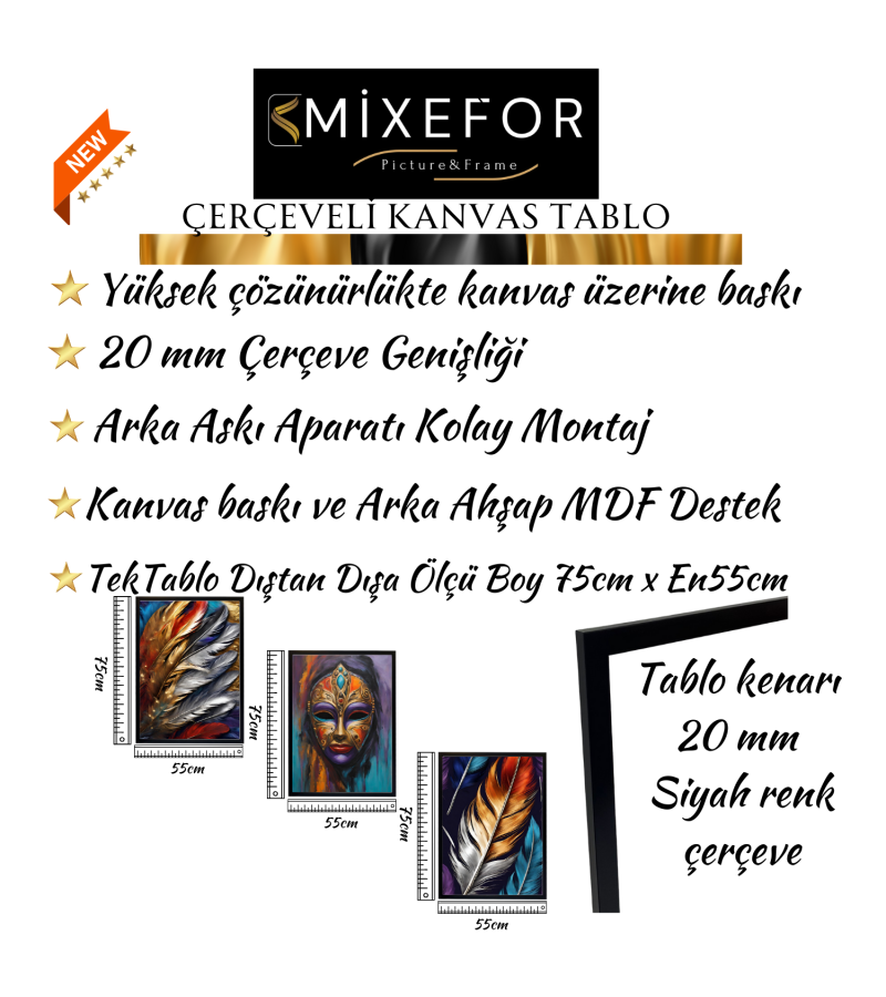 Çerçeveli  Soyut Modern 3 Parça Kanvas Tablo Set