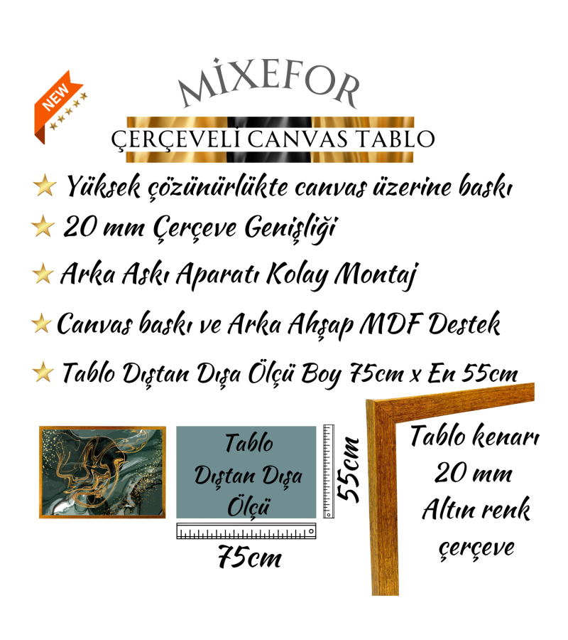 Çerçeveli Soyut Modern  Kanvas Baskı Tablo