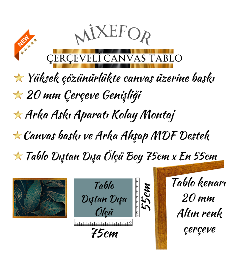 Çerçeveli Modern  Kanvas Baskı Tablo