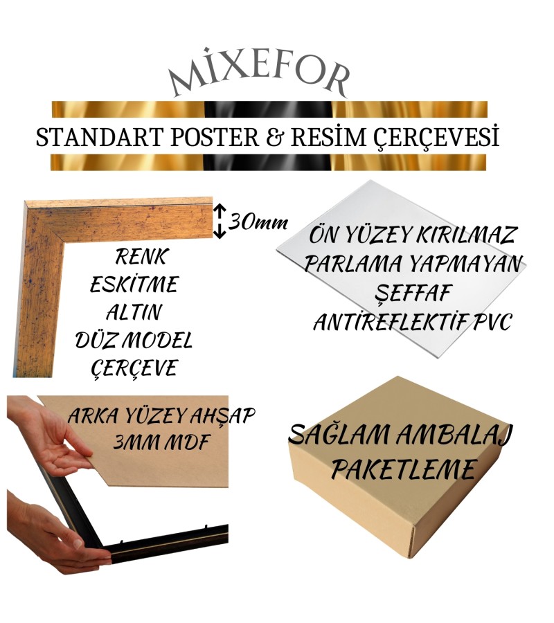 70cm x 100cm Ölçülerinde  Poster Afiş Resim Altın Renk Çerçeve